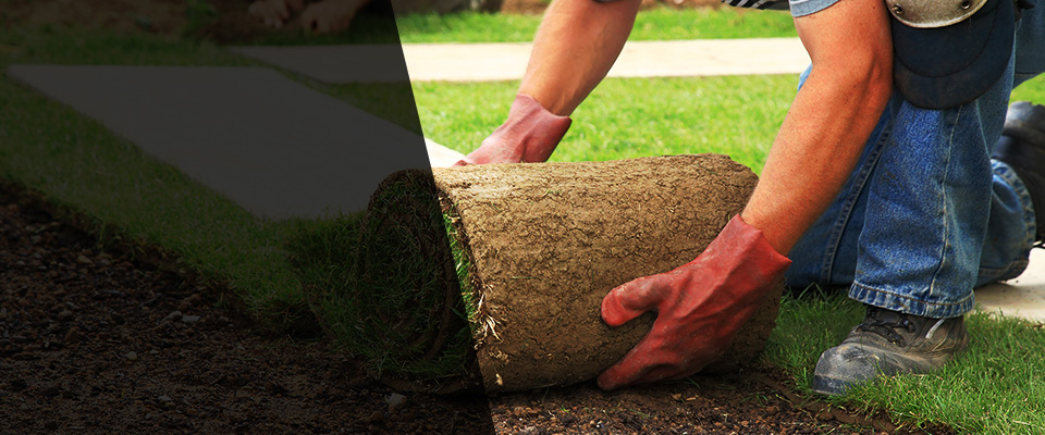 West Paducah Landscapers